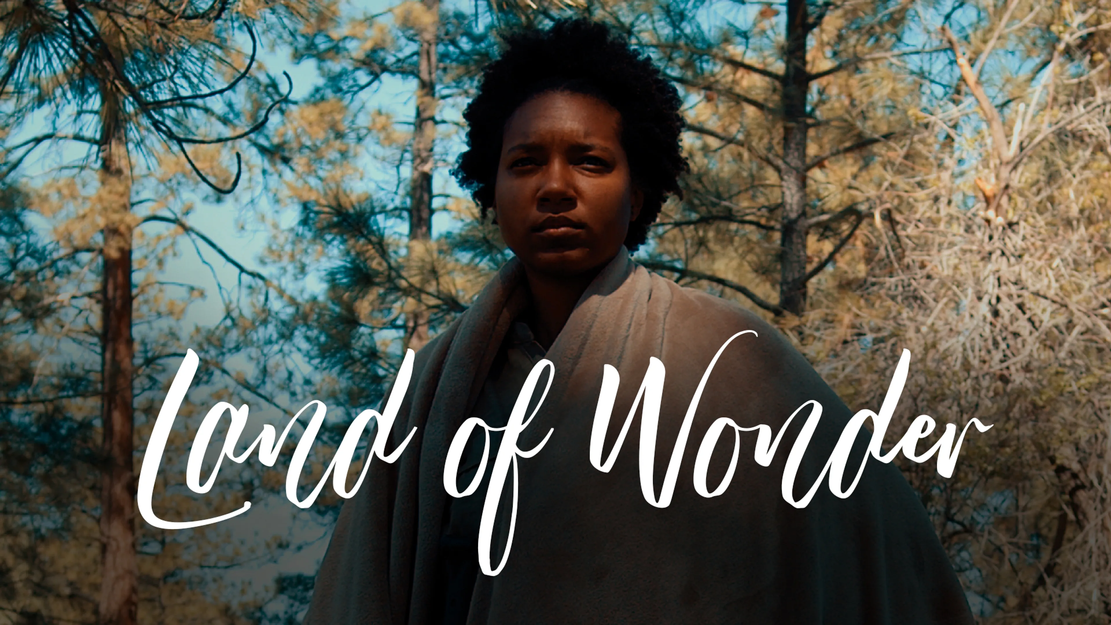 Land of Wonder poster